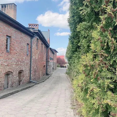 Stara Winiarnia Apartment