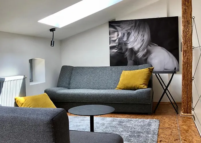 Stara Winiarnia Apartment *